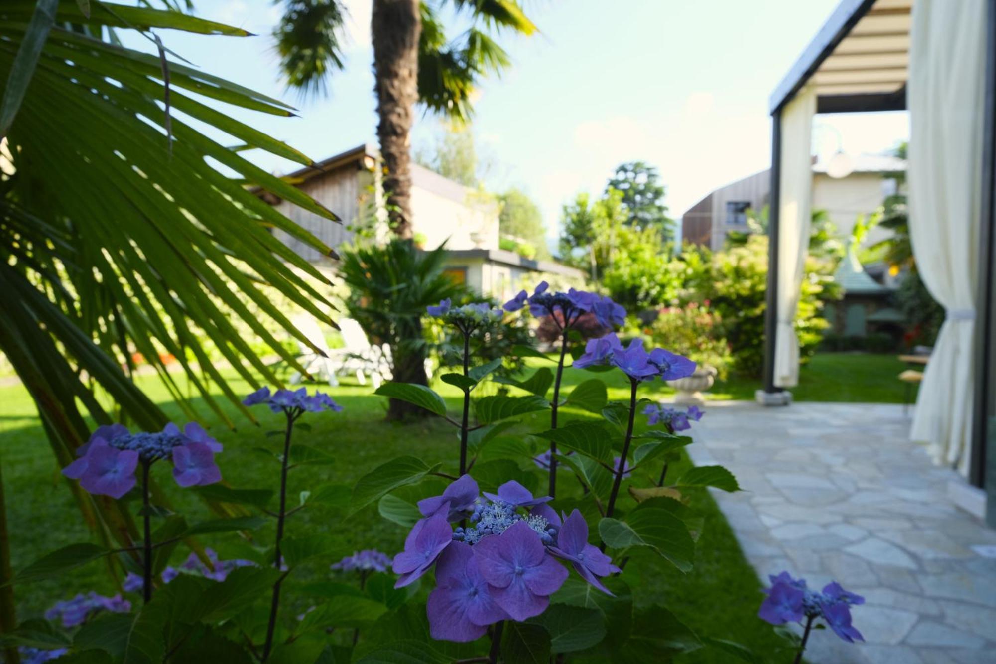 Residenza Laurum Mandello del Lario Bagian luar foto